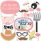 Big Dot of Happiness Girl Farm Animals - Pink Barnyard Baby Shower or Birthday Party Photo Booth Props Kit - 20 Count